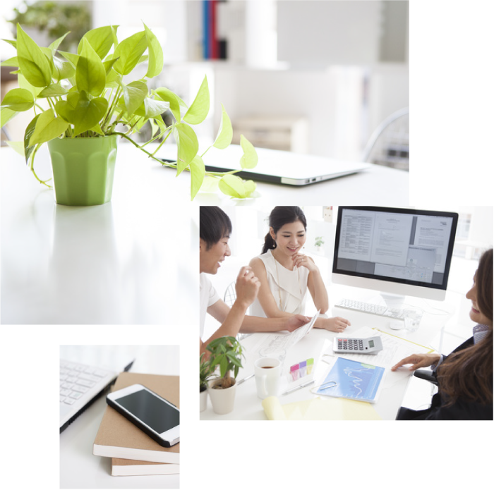 相談しやすい、落ち着いた店内でお待ちしております